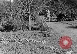 Standbild Hitler Jugend Polen, 1940, aus Sekunde 35 historischem Filmmaterial Videoclip 65675043395