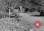 Standbild Hitler Jugend Polen, 1940, aus Sekunde 36 historischem Filmmaterial Videoclip 65675043395