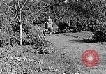 Standbild Hitler Jugend Polen, 1940, aus Sekunde 37 historischem Filmmaterial Videoclip 65675043395