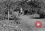 Standbild Hitler Jugend Polen, 1940, aus Sekunde 38 historischem Filmmaterial Videoclip 65675043395