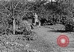 Standbild Hitler Jugend Polen, 1940, aus Sekunde 39 historischem Filmmaterial Videoclip 65675043395