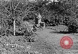 Standbild Hitler Jugend Polen, 1940, aus Sekunde 40 historischem Filmmaterial Videoclip 65675043395
