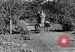 Standbild Hitler Jugend Polen, 1940, aus Sekunde 43 historischem Filmmaterial Videoclip 65675043395