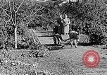 Standbild Hitler Jugend Polen, 1940, aus Sekunde 44 historischem Filmmaterial Videoclip 65675043395