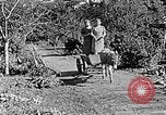 Standbild Hitler Jugend Polen, 1940, aus Sekunde 46 historischem Filmmaterial Videoclip 65675043395