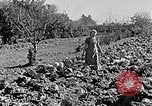 Standbild Hitler Jugend Polen, 1940, aus Sekunde 47 historischem Filmmaterial Videoclip 65675043395
