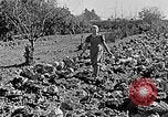 Standbild Hitler Jugend Polen, 1940, aus Sekunde 48 historischem Filmmaterial Videoclip 65675043395