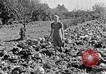 Standbild Hitler Jugend Polen, 1940, aus Sekunde 49 historischem Filmmaterial Videoclip 65675043395