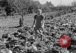 Standbild Hitler Jugend Polen, 1940, aus Sekunde 50 historischem Filmmaterial Videoclip 65675043395