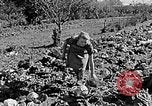 Standbild Hitler Jugend Polen, 1940, aus Sekunde 51 historischem Filmmaterial Videoclip 65675043395