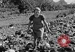 Standbild Hitler Jugend Polen, 1940, aus Sekunde 52 historischem Filmmaterial Videoclip 65675043395
