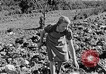 Standbild Hitler Jugend Polen, 1940, aus Sekunde 53 historischem Filmmaterial Videoclip 65675043395
