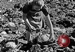 Standbild Hitler Jugend Polen, 1940, aus Sekunde 55 historischem Filmmaterial Videoclip 65675043395