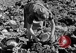 Standbild Hitler Jugend Polen, 1940, aus Sekunde 56 historischem Filmmaterial Videoclip 65675043395