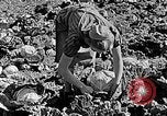 Standbild Hitler Jugend Polen, 1940, aus Sekunde 57 historischem Filmmaterial Videoclip 65675043395