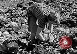 Standbild Hitler Jugend Polen, 1940, aus Sekunde 58 historischem Filmmaterial Videoclip 65675043395
