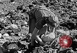 Standbild Hitler Jugend Polen, 1940, aus Sekunde 59 historischem Filmmaterial Videoclip 65675043395
