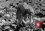 Standbild Hitler Jugend Polen, 1940, aus Sekunde 60 historischem Filmmaterial Videoclip 65675043395