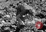 Standbild Hitler Jugend Polen, 1940, aus Sekunde 61 historischem Filmmaterial Videoclip 65675043395