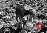 Standbild Hitler Jugend Polen, 1940, aus Sekunde 62 historischem Filmmaterial Videoclip 65675043395