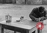 Image of Hitler Youth training Poland, 1940, second 61 stock footage video 65675043397