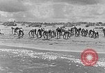 Image of Hitler Youth at beach Poland, 1940, second 8 stock footage video 65675043398