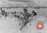 Image of Hitler Youth at beach Poland, 1940, second 14 stock footage video 65675043398