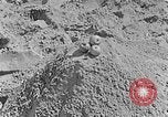 Image of Hitler Youth at beach Poland, 1940, second 37 stock footage video 65675043398
