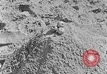 Image of Hitler Youth at beach Poland, 1940, second 38 stock footage video 65675043398