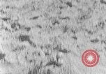 Image of Hitler Youth at beach Poland, 1940, second 39 stock footage video 65675043398