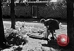 Standbild Hitler Jugend Polen, 1940, aus Sekunde 17 historischem Filmmaterial Videoclip 65675043400