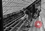 Standbild Hitler Jugend Polen, 1940, aus Sekunde 25 historischem Filmmaterial Videoclip 65675043400