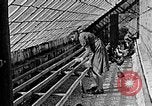 Standbild Hitler Jugend Polen, 1940, aus Sekunde 26 historischem Filmmaterial Videoclip 65675043400