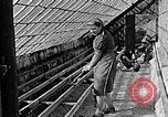 Standbild Hitler Jugend Polen, 1940, aus Sekunde 31 historischem Filmmaterial Videoclip 65675043400