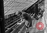 Standbild Hitler Jugend Polen, 1940, aus Sekunde 32 historischem Filmmaterial Videoclip 65675043400