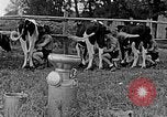 Standbild Hitler Jugend Polen, 1940, aus Sekunde 50 historischem Filmmaterial Videoclip 65675043400
