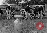 Standbild Hitler Jugend Polen, 1940, aus Sekunde 51 historischem Filmmaterial Videoclip 65675043400