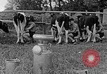 Standbild Hitler Jugend Polen, 1940, aus Sekunde 52 historischem Filmmaterial Videoclip 65675043400