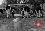 Standbild Hitler Jugend Polen, 1940, aus Sekunde 53 historischem Filmmaterial Videoclip 65675043400