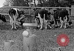 Standbild Hitler Jugend Polen, 1940, aus Sekunde 54 historischem Filmmaterial Videoclip 65675043400