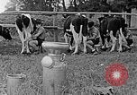 Standbild Hitler Jugend Polen, 1940, aus Sekunde 55 historischem Filmmaterial Videoclip 65675043400