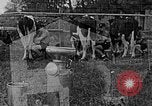 Standbild Hitler Jugend Polen, 1940, aus Sekunde 56 historischem Filmmaterial Videoclip 65675043400