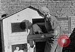 Standbild Hitler Jugend Polen, 1940, aus Sekunde 57 historischem Filmmaterial Videoclip 65675043400