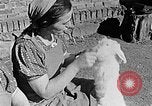 Standbild Hitler Jugend Polen, 1940, aus Sekunde 61 historischem Filmmaterial Videoclip 65675043400