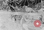 Image of Hitler Youth Poland, 1940, second 1 stock footage video 65675043401