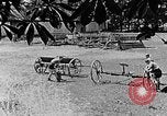 Image of Hitler Youth Poland, 1940, second 4 stock footage video 65675043401
