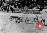Image of Hitler Youth Poland, 1940, second 5 stock footage video 65675043401