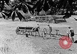 Image of Hitler Youth Poland, 1940, second 6 stock footage video 65675043401