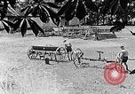 Image of Hitler Youth Poland, 1940, second 7 stock footage video 65675043401
