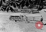 Image of Hitler Youth Poland, 1940, second 8 stock footage video 65675043401